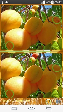 Photo hunt fruits game游戏截图1