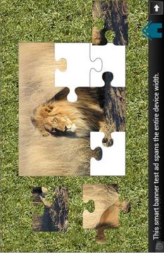 Kids Animals Puzzle游戏截图4