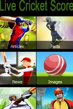 Live Cricket Score游戏截图1