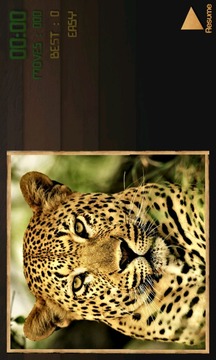 PuzzBox Africa Picture Puzzle游戏截图4