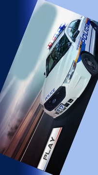 3D Police Car Racing Game游戏截图2