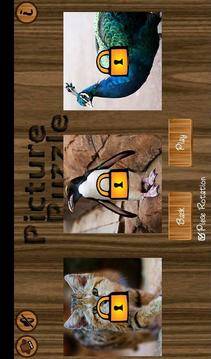 Picture Puzzle (Free Rotation)游戏截图5