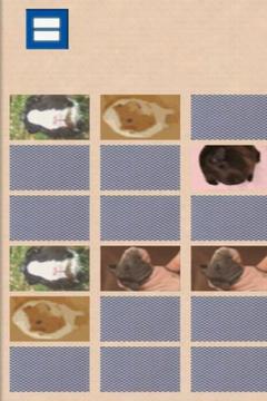 Guinea piggy memory game游戏截图2