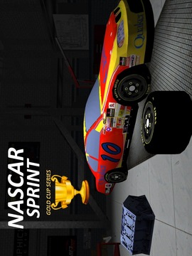 Nascar Sprint Gold Cup 3D游戏截图1