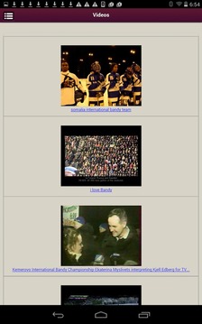 International Bandy游戏截图2