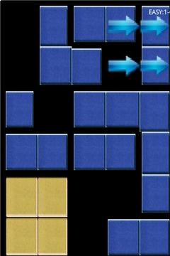 Puzzle Move Games 2 In 1游戏截图3