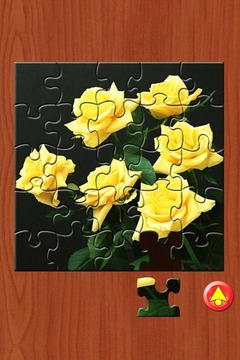 Flowers Jigsaw Puzzle游戏截图2