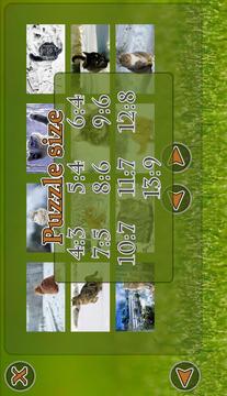 Cats Puzzle游戏截图4