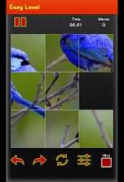 Picture Puzzle Game - Best Bird picture游戏截图3
