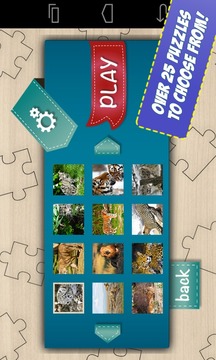 Free Big Cats Jigsaw Puzzle游戏截图3