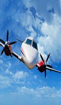 Hot Plane Games Download游戏截图3