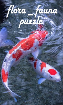 Flora Fauna Puzzle游戏截图4