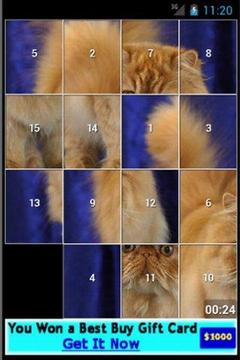 Persian Cat Puzzles游戏截图1