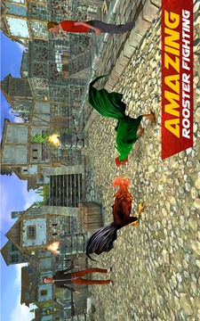 Rooster Wild Fighting : Farm Battle Run游戏截图4