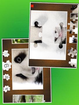 Baby animal puzzle游戏截图3