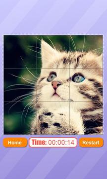 Cute Kitten Sliding Puzzle游戏截图2