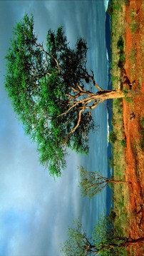 Beautiful Landscape Puzzle游戏截图3