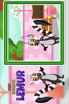 Pet Caring Lemur游戏截图4