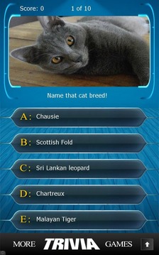 Name that Cat Breed Trivia游戏截图5