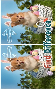 Find 5 Differences : Puppies游戏截图2