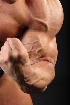 Bodybuilding -Biceps Workout游戏截图4