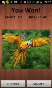 Your Picture Puzzle游戏截图4