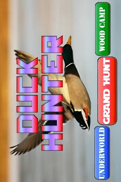 Duck Hunter Pro游戏截图1