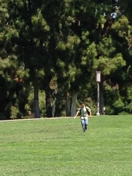 TerraTower Client游戏截图3