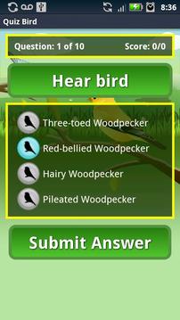 Quiz Bird Free游戏截图2