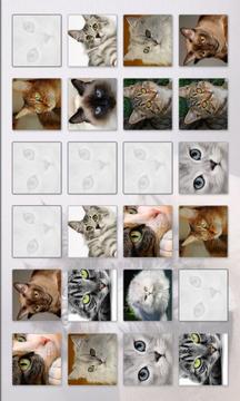 Cats Memory Game Free游戏截图5