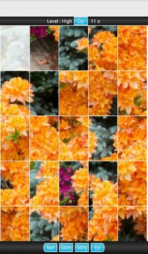 Flora Fauna Puzzle游戏截图5