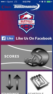 Buffalo Football STREAM游戏截图2