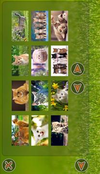 Cats Puzzle游戏截图2
