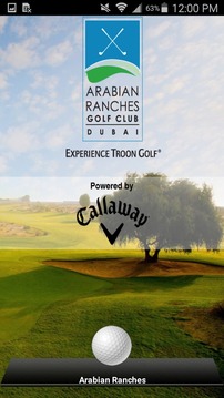 Arabian Ranches Golf Club游戏截图4