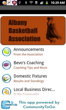 Albany Basketball Association游戏截图1