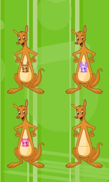 Memory Favorite Kangaroo游戏截图2