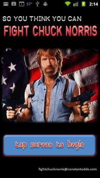 Fight Chuck Norris游戏截图1