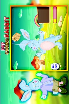 Pet Caring Rabbit游戏截图3