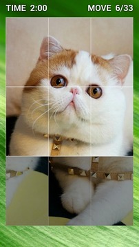Cute Cat Swap Puzzle for Kids游戏截图2