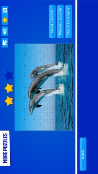 Dolphin Puzzles游戏截图4
