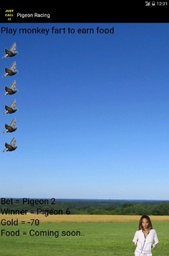 Pigeon Racing游戏截图2