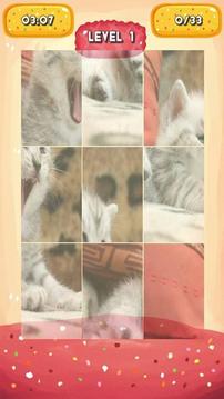 Silvery Kitten Jigsaw Puzzle游戏截图4