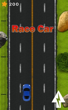 Race Car游戏截图3