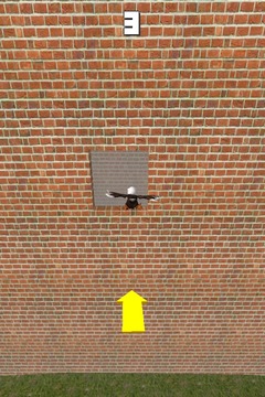 Fly Bird Fly 3D游戏截图1