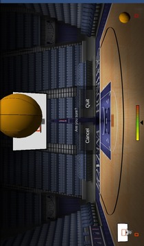 Basket the Ball游戏截图5