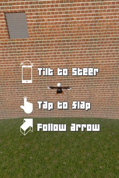 Fly Bird Fly 3D游戏截图5