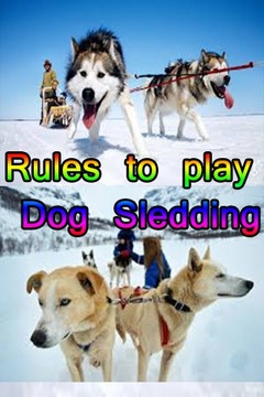 Rules to play Dog Sledding游戏截图1