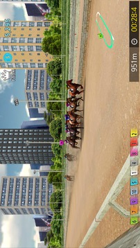 Pick Horse Racing游戏截图5