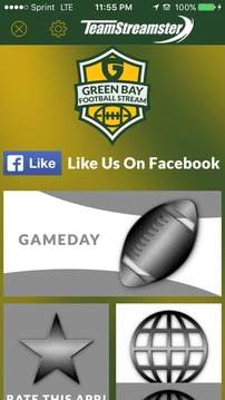 Green Bay Football STREAM游戏截图1