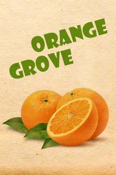 Orange Grove Test游戏截图1
